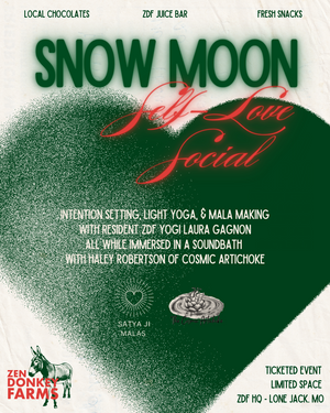 SNOW MOON Self-Love Social * Yoga * Mala Making Workshop * Sound Bath * Juice Bar (SOLD OUT)