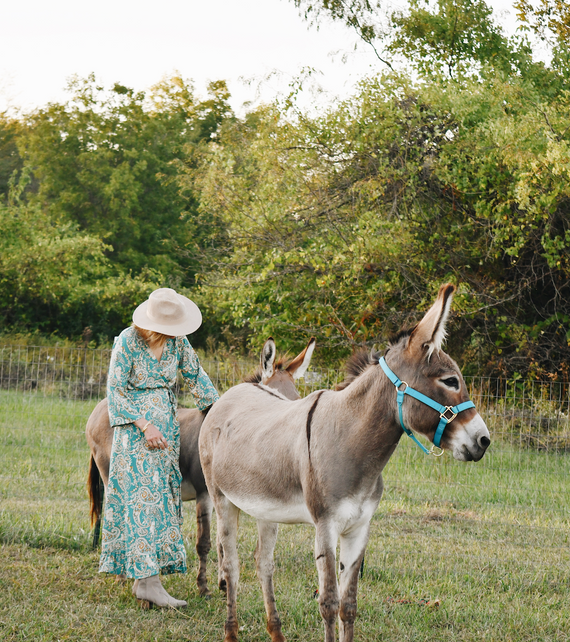 Events — Zen Donkey Farms