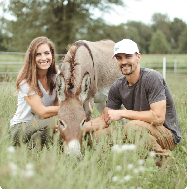 ZEN DONKEY FARMS | RAW, COLD-PRESSED, ORGANIC JUICE — Zen Donkey Farms