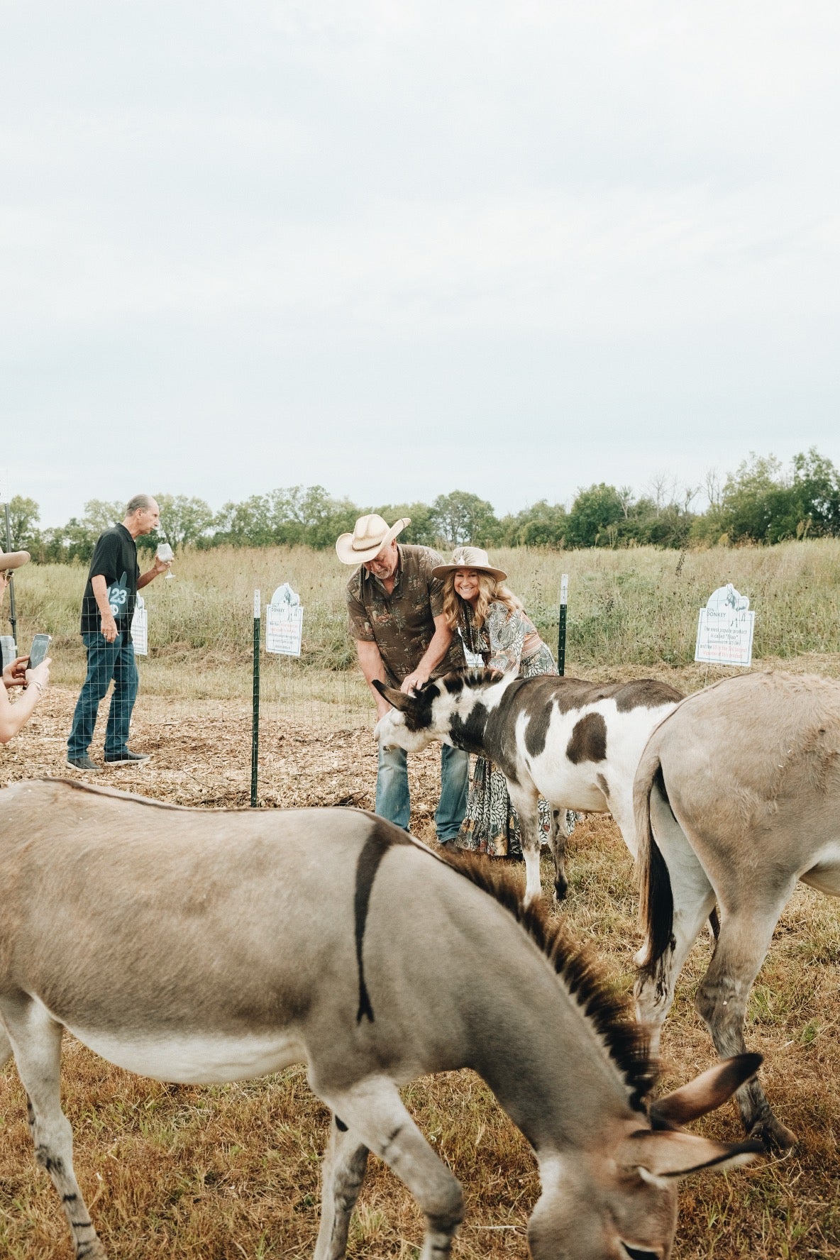 Dining for Donkeys Farm Benefit