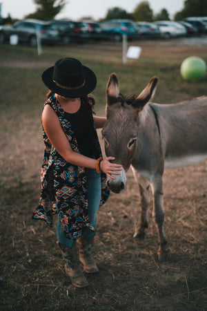 Dining for Donkeys - SEPTEMBER 21, 2024 (RESERVATIONS NOW AVAILABLE)!