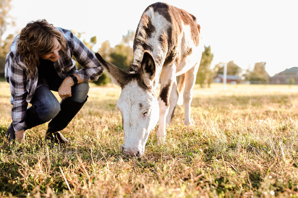 Dining for Donkeys Farm Benefit