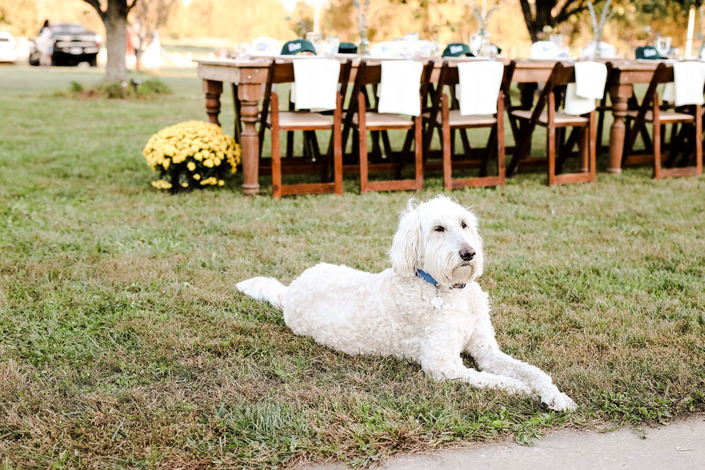 Dining for Donkeys Farm Benefit