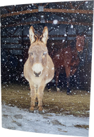 "Earl" snow gazing: Blank inside 