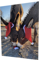 Happy HoliBRAYs Greeting Card Collection (6-pack Holiday variety)